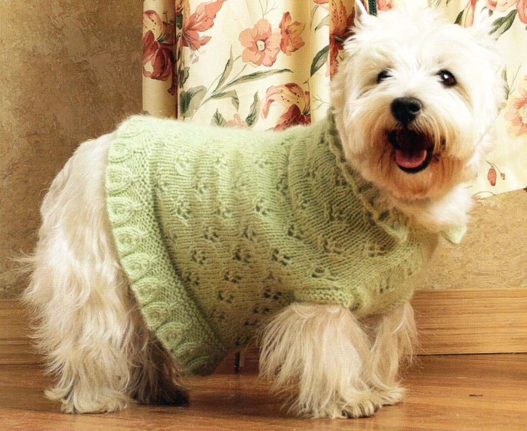 Eyelet Dog Sweater Jacket Knitting Pattern Dog Sweater Coat Etsy