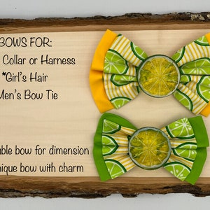 Lime Fruit Bow for Pet&#39;s Collar or Harness, Girl&#39;s Headband, Hair Clip or Hair Tie, Men&#39;s Bow Tie with Lime Charm
