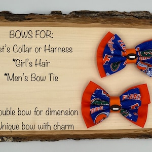 Gators BOW made using licensed fabric for pet's collar/harness, girl's headband/hair clip/hair tie, men's bow tie with football charm