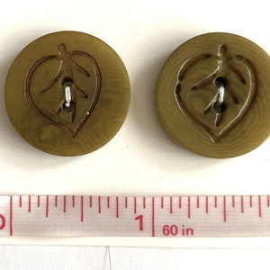 4 LEAF BUTTONS, Sage Green plastic carved with leaf motif,  7/8&quot; with 2 holes for knitters, sewers, crafters,  FREE domestic shipping