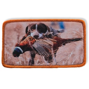 Może przedstawiać: Brązowy i biały pies z bażantem w pysku, stojący na polu wysokiej trawy.