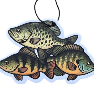 May include: An air freshener featuring a cluster of three fish illustrations. The fish are in shades of green, yellow, and black, with a light blue outline. A black string is attached for hanging. The fish are a crappie, a perch, and a bluegill.