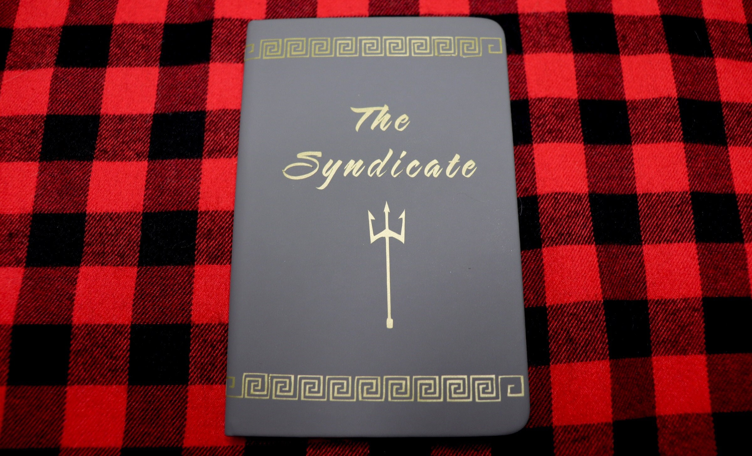 Technoblade Never Dies : Technoblade Fans Notebook ( Simple Book Journal )  ( 6 x 9 ) : : Books