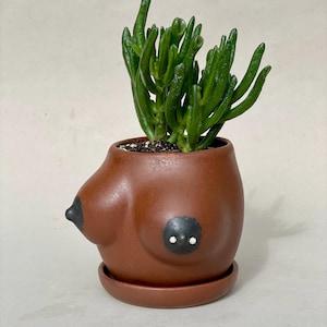 Nipple Piercing Boobie Flower Pot: Handmade Ceramic Vase
