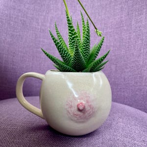 Boobies Planters | Funny Handmade Ceramic Mugs Only for Cold Drink