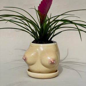 Boobie Flower Pots with Nipple Piercing