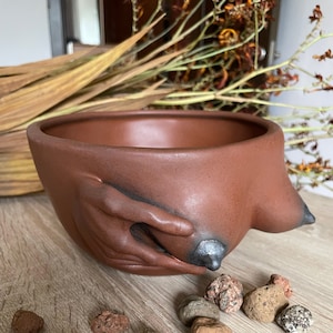 May include: A terracotta-colored ceramic planter shaped like a pair of hands holding a small, round object. The planter has a smooth, matte finish and a slightly textured surface. The hands are sculpted in a realistic style, with visible fingers and a detailed palm.