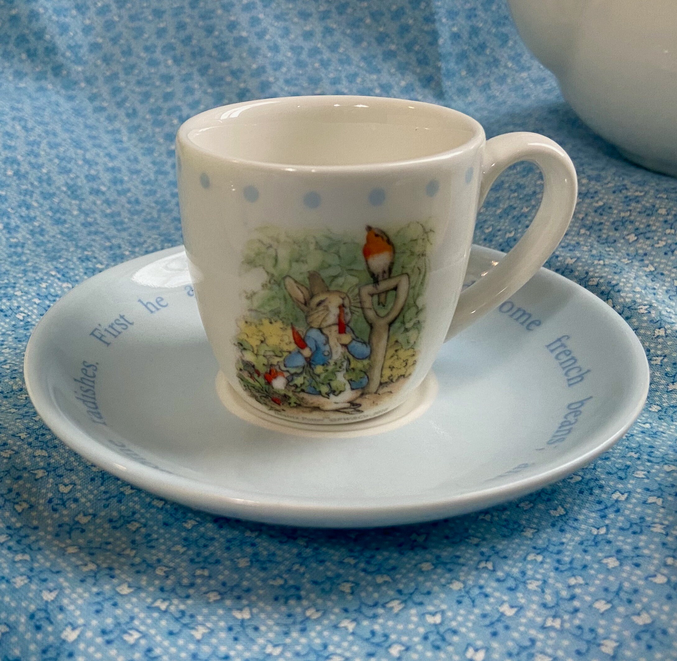 Childrens Tea Set for 4 Custom Box Peter Rabbit Flopsy Bunnies