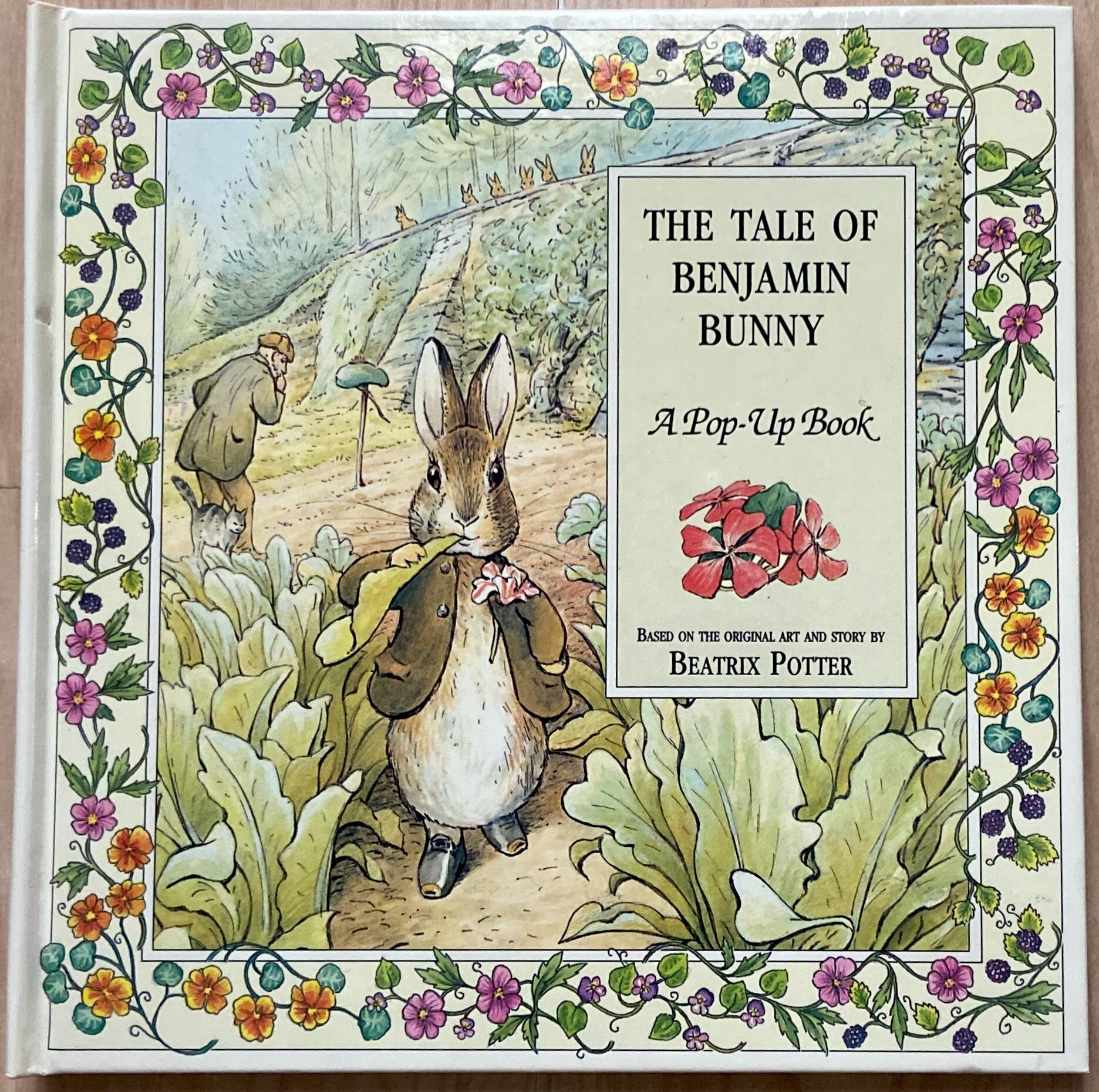 洋書 The Tale of Peter Rabbit (Pop-up book) 81gAOjoFclL._UF1000,1000_QL80_.jpg