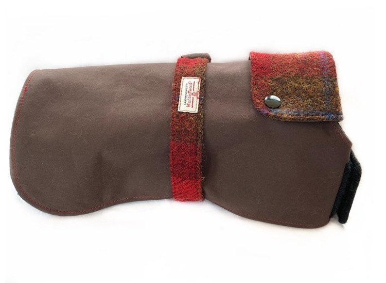 Harris Tweed Trimmed Chocolate Brown Waxed Cotton Dog Coat / Etsy
