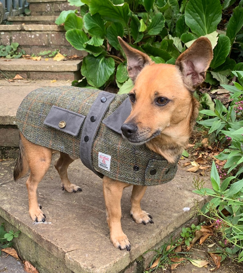 Harris Tweed Red Grey Tartan / Grey Waxed Cotton Trim Dog Coat Etsy