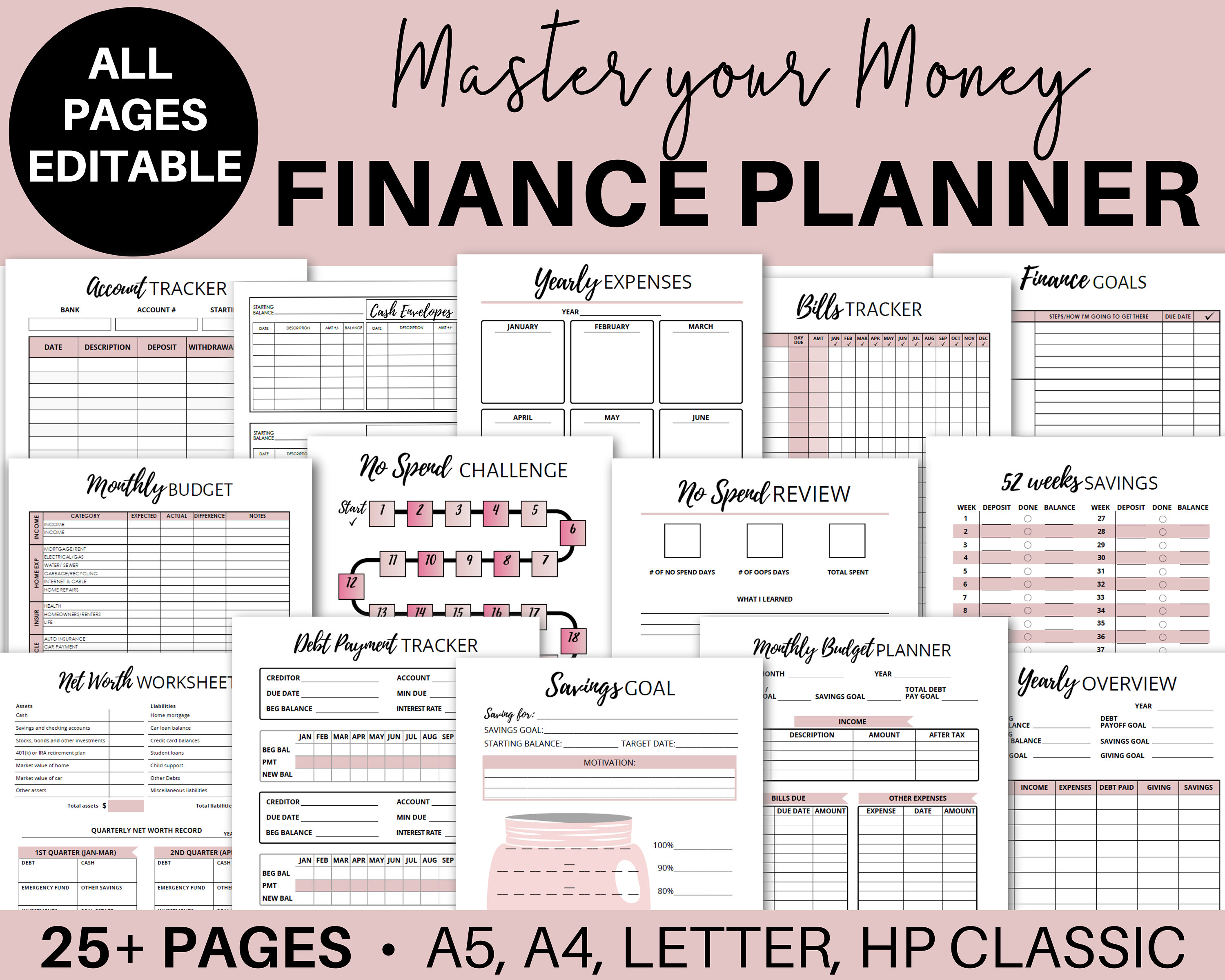 12 Month Pale Pink Floral, Monthly Budget Planner,financial Planner,  Printable, Monthly Budget PDF, Debt Free, Bill Tracker, Savings Goals 