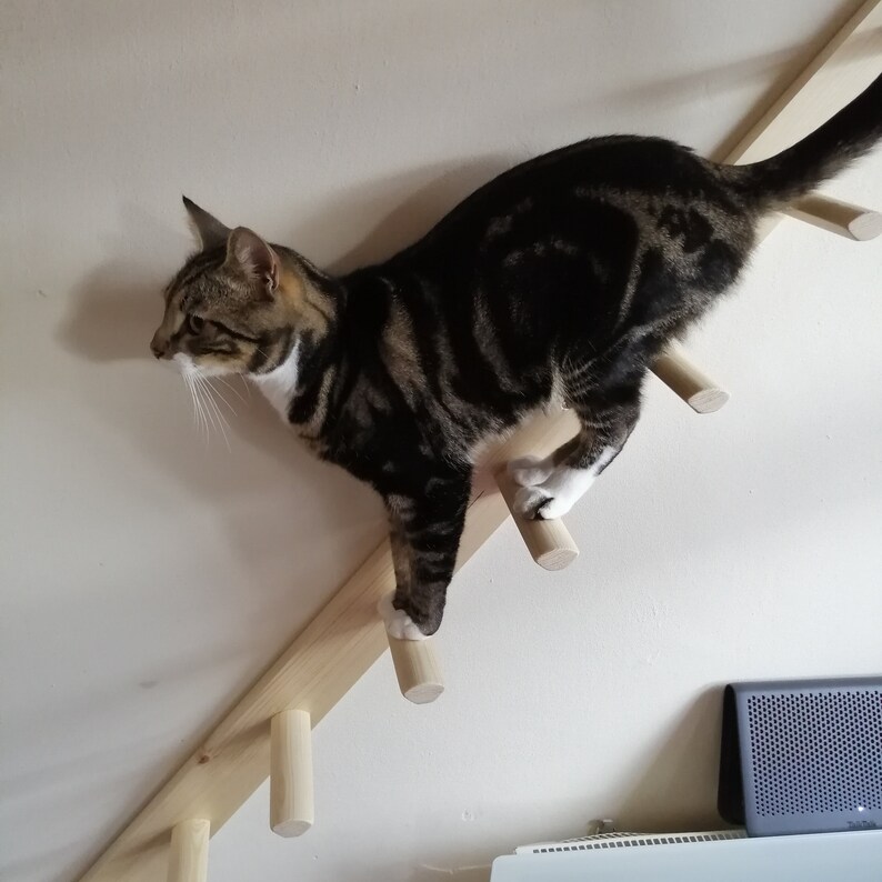 Wall Mounted Cat Ladder Stairs Etsy UK