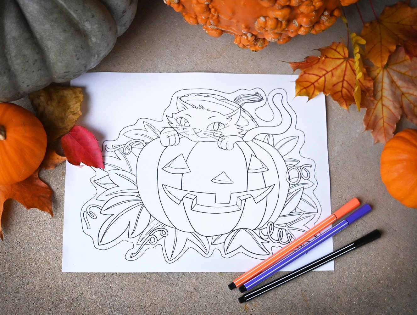 Printable Cat in Jack-o-lantern Coloring Page - Instant Digital ...