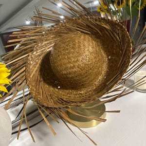 Puede incluir: Un sombrero de paja tejido con una corona redondeada y un ala ancha, adornado con flecos de paja radiantes. El sombrero es de color marr&oacute;n natural, lo que sugiere un tema r&uacute;stico o tropical. El sombrero est&aacute; sobre una base dorada.