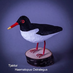 Oystercatcher Bird Carved in Wood Icelandic Tjaldur Haematopus Ostralegus image 1