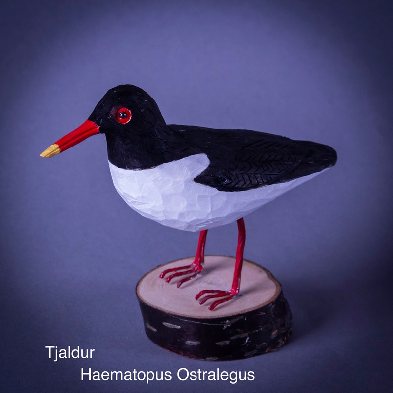 Oystercatcher Bird Carved in Wood Icelandic Tjaldur Haematopus Ostralegus image 1