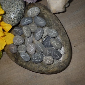 May include: A set of gray rune stones with white markings, arranged in a circle on a gray stone dish. The stones are surrounded by a sunflower.