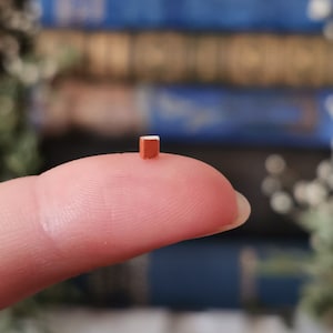 The Smallest Book in the World (Das Kleinste Buch der Welt) Josua Reichert, Extremely Rare Micro-Miniature Book in Case