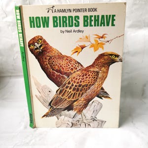 How Birds Behave (1973) Ardley, Illustrated Natural Science Vintage Book