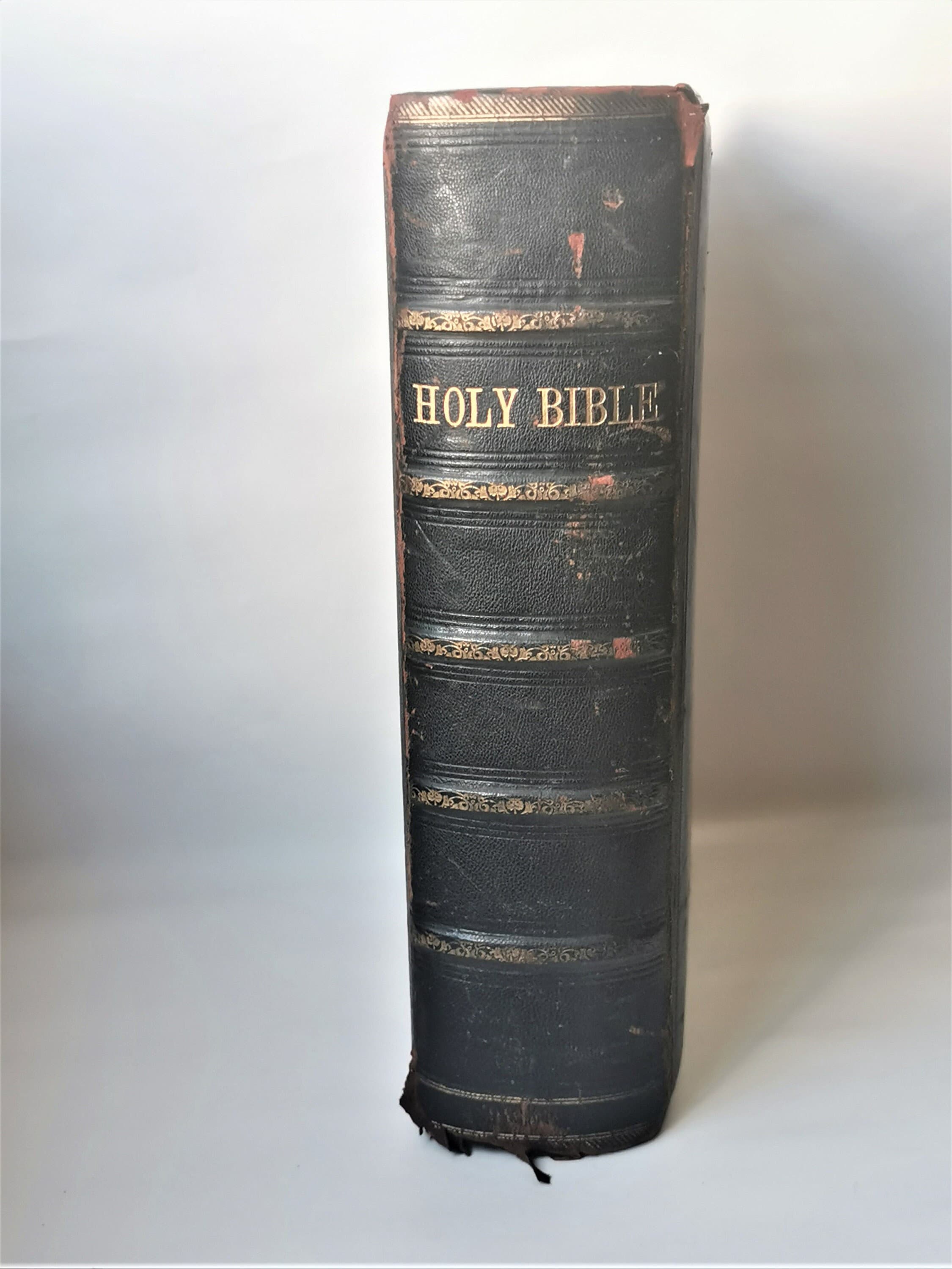 アンティーク聖書 アンティーク聖書（1880年頃）ブラウンズ自訳図解装飾大型革製