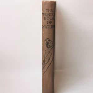 The Wonder Book of Nature (c. 1930) 350+ Vintage Illustrations, Nature Animals Learning Children&#39;s Book