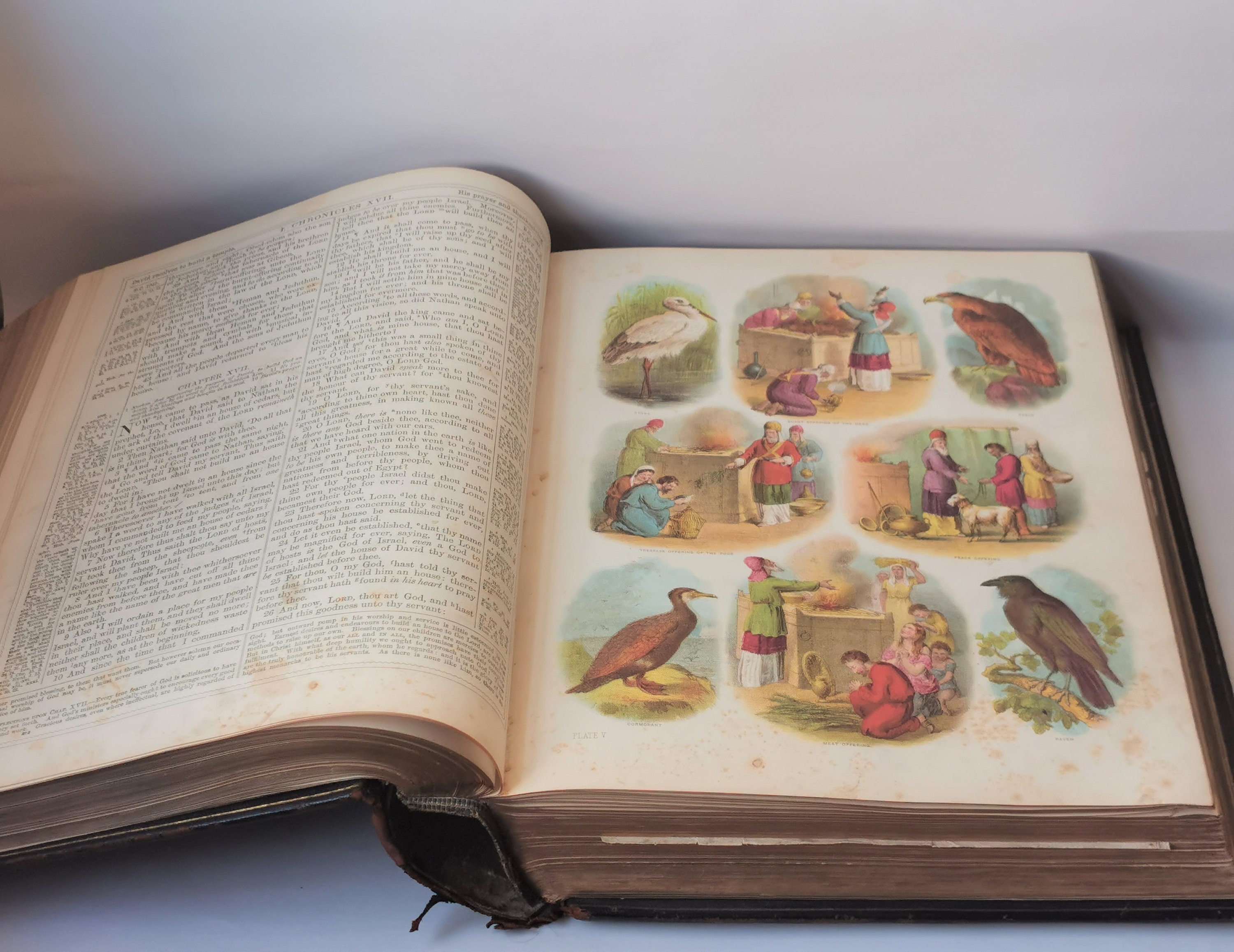 アンティーク聖書 アンティーク聖書（1880年頃）ブラウンズ自訳図解装飾大型革製