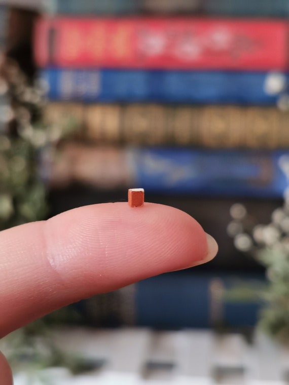 The Smallest Book in the World das Kleinste Buch Der Welt Josua Reichert,  Extremely Rare Micro-miniature Book in Case 