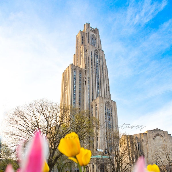 Cathedral Of Learning with Spring Flowers Photo | University of Pittsburgh Print