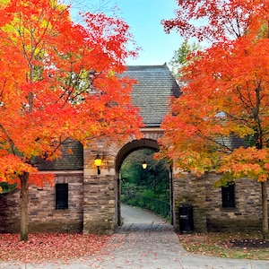 Frick Park Gate With Fall Leaves Print | Pittsburgh Photography