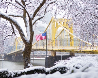 Winter Wonderland Tree on North Shore With American Flag Print | Pittsburgh Photography