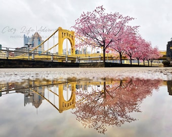 4 Seasons Cherry Blossoms Horizontal Reflection Photography | Pittsburgh Print