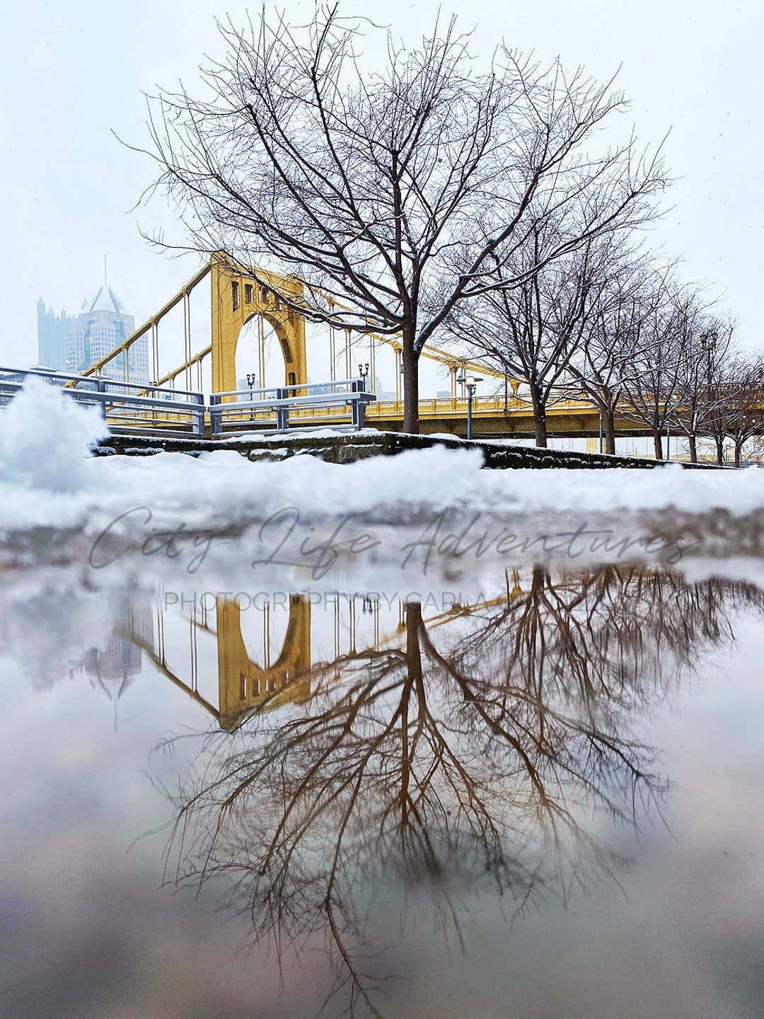 4 Seasons Winter Snow Vertical Reflection Photography | Pittsburgh ...