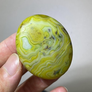 Puede incluir: Una piedra de ágata pulida de forma ovalada con vibrantes bandas concéntricas en verde lima, amarillo y blanco. La superficie muestra intrincados patrones ondulados y pequeñas inclusiones dendríticas oscuras en forma de helecho.