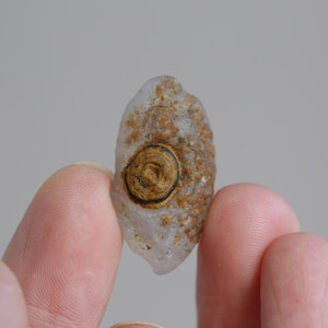 May include: A small, translucent, oval-shaped stone with a rough, textured surface. The stone features a prominent, circular, dark brown and tan bullseye pattern in the centre, surrounded by patches of light brown and translucent white mineral deposits.