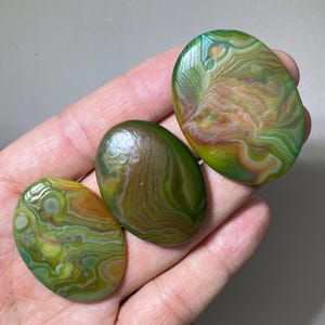 May include: Three polished oval cabochons featuring intricate banded patterns in shades of olive green, lime, and earthy brown. Each stone displays a smooth, glossy surface with concentric circular and wavy mineral formations throughout.