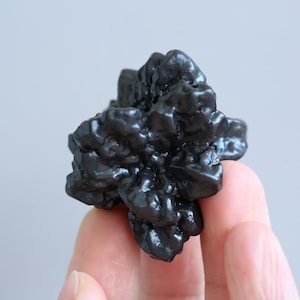 May include: A dark, irregularly shaped, glossy black mineral specimen. The surface has a bumpy, clustered texture. The mineral is held in a person's hand against a neutral background. The overall shape is reminiscent of a small, dark cluster.