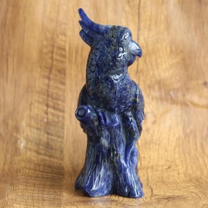 5.9&#39;&#39; Natural sodalite parrot carving, Hand-carved bule sodalite parrot, Crystal parrot carving ,Crystal gift,Carving gift,#330