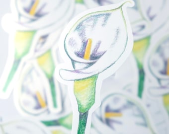 Calla leliebloem gestanste sticker