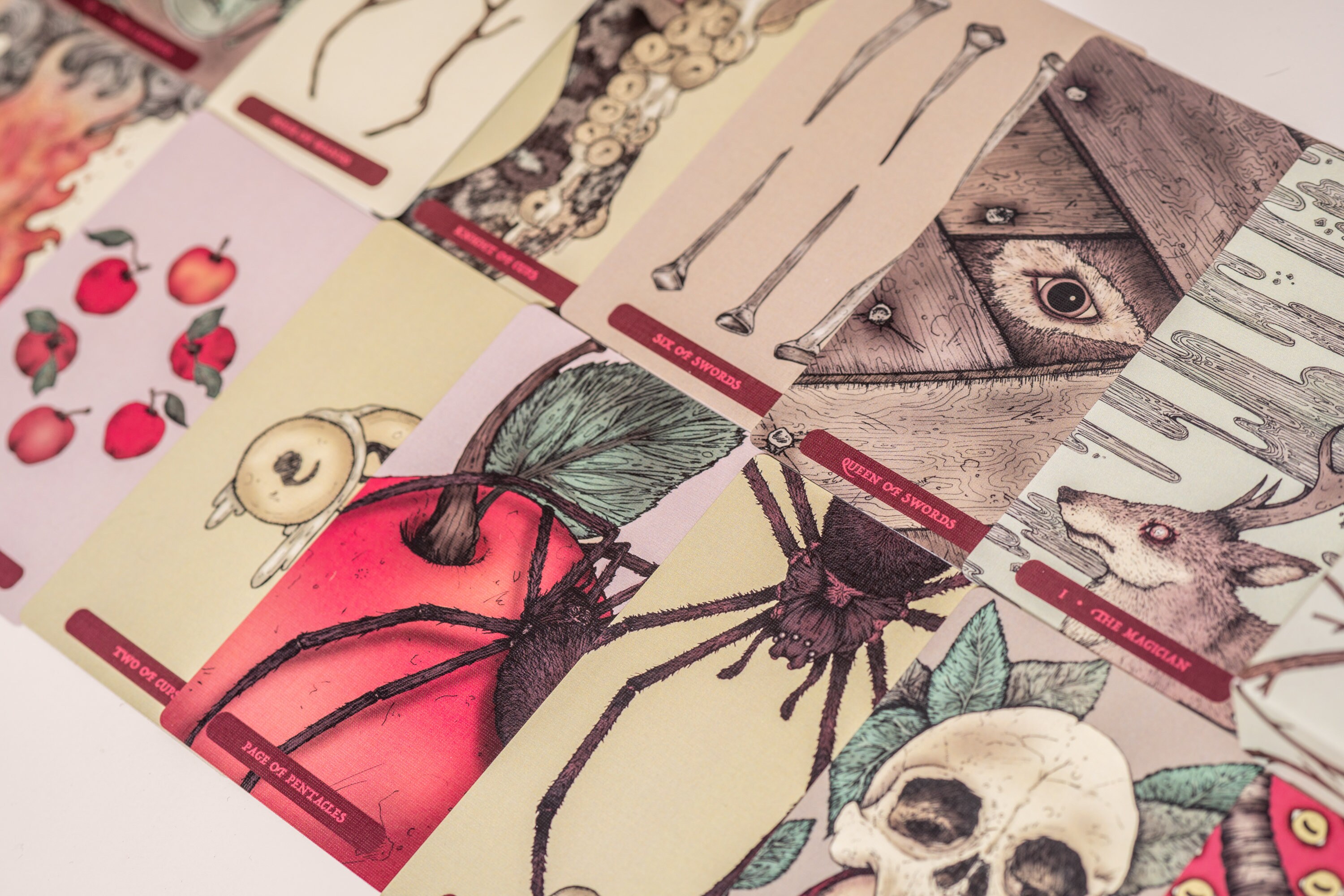 Cursed Auguries Tarot Deck Etsy