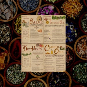 May include: A collage of four illustrated guides for making herbal salves, infused oils, drying herbs, and carrier oils. The guides feature hand-drawn illustrations of herbs, flowers, and other botanicals. The background is a collection of wooden bowls filled with dried herbs.