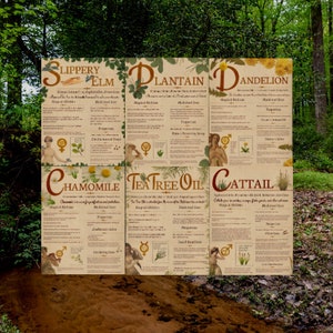 Book of Shadows Pages, Plant Grimoire, Digital Download, Grimoire Pages, Flower Grimoire, Instant Download, Dandelion, Slippery Elm, Cattail