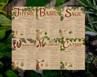 Book of Shadows Pages, Herb Grimoire, Digital Download, Grimoire Pages, Plant Pages, Instant Download, Sage, Mugwort, Basil, Green Witch