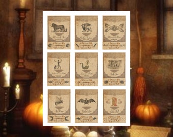 Halloween Potion Labels, Digital Collage Sheet, Potion Tags, Instant Download, Printable Collage Sheet, Halloween, Vintage Potion