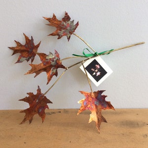 Copper Leaf Spray