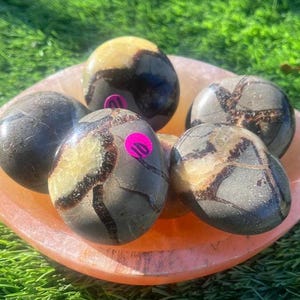 Gelber Kalzit/ Gelber Muschelkernpalmstein/ Septarierknoten/ Septarierknoten/ Gelbe Steinpalme/ Meditationsstein