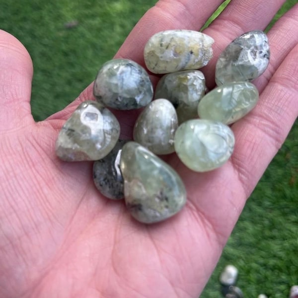 Prehnite Tumbles Small/ Prehnite Tumbles/ Prehnite/ Crystal Grids/ Polished Stones/ Crystals/ Green Ray/ Epidote/ Healer/ Heart Chakra