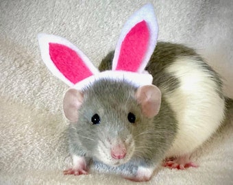 Bunny Ears for Pet Rat (Size Med, 8-10 cm) Perfect Easter Pet Costume Gift, Lizard Hamster Small Pet, CUSTOMIZABLE