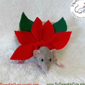 LOVE RAT（RED Ver.) farp,medium,wall_texture,