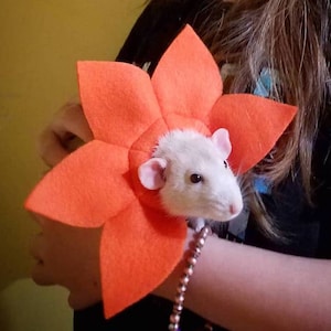 Single Layer Petal Flower Neckband Pet Rat Costume, Multiple Colors and Sizes (cm) Available, Custom Requests Welcome